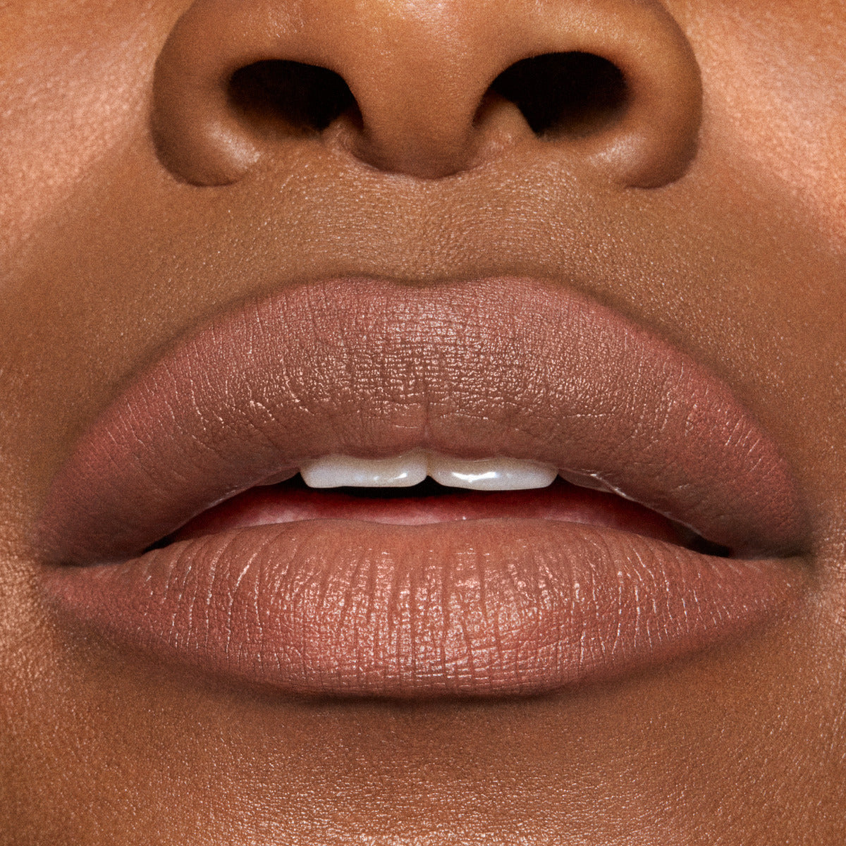 LIP PENCIL / METAMORPHOSIS COLLECTION#Spiced Tea