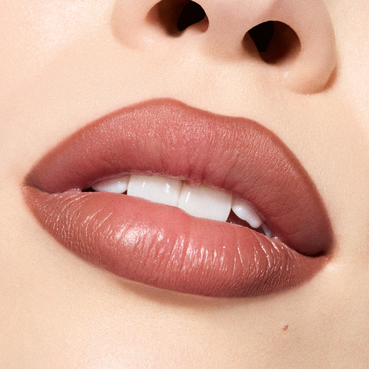 LIP PENCIL / METAMORPHOSIS COLLECTION#Spiced Tea