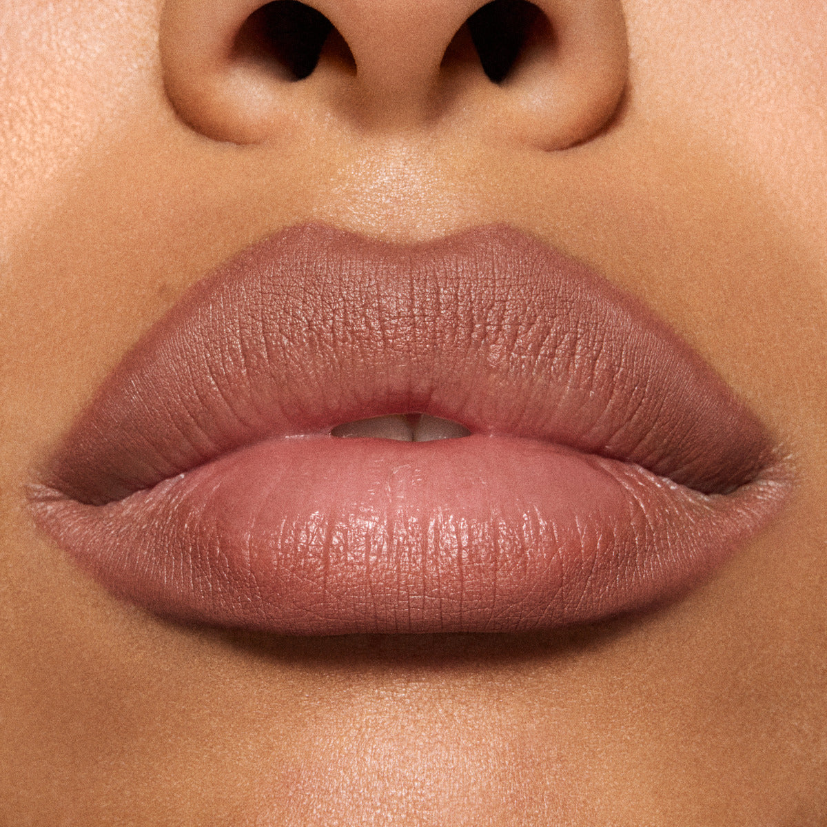 LIP PENCIL / METAMORPHOSIS COLLECTION#Spiced Tea