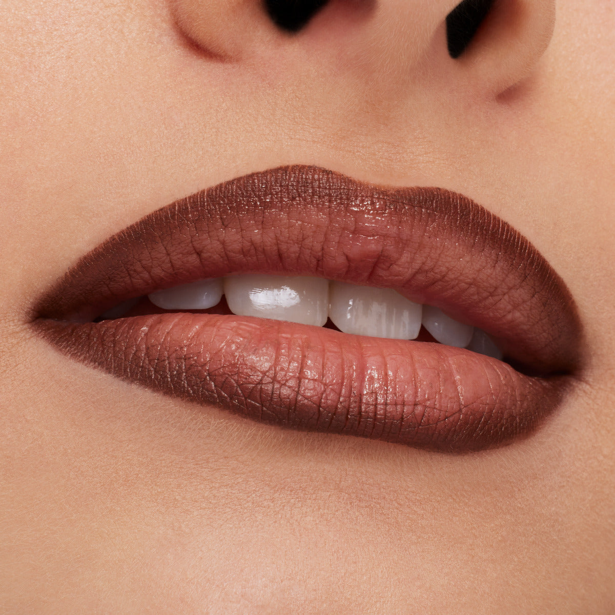 LIP PENCIL / METAMORPHOSIS COLLECTION#Chestnut