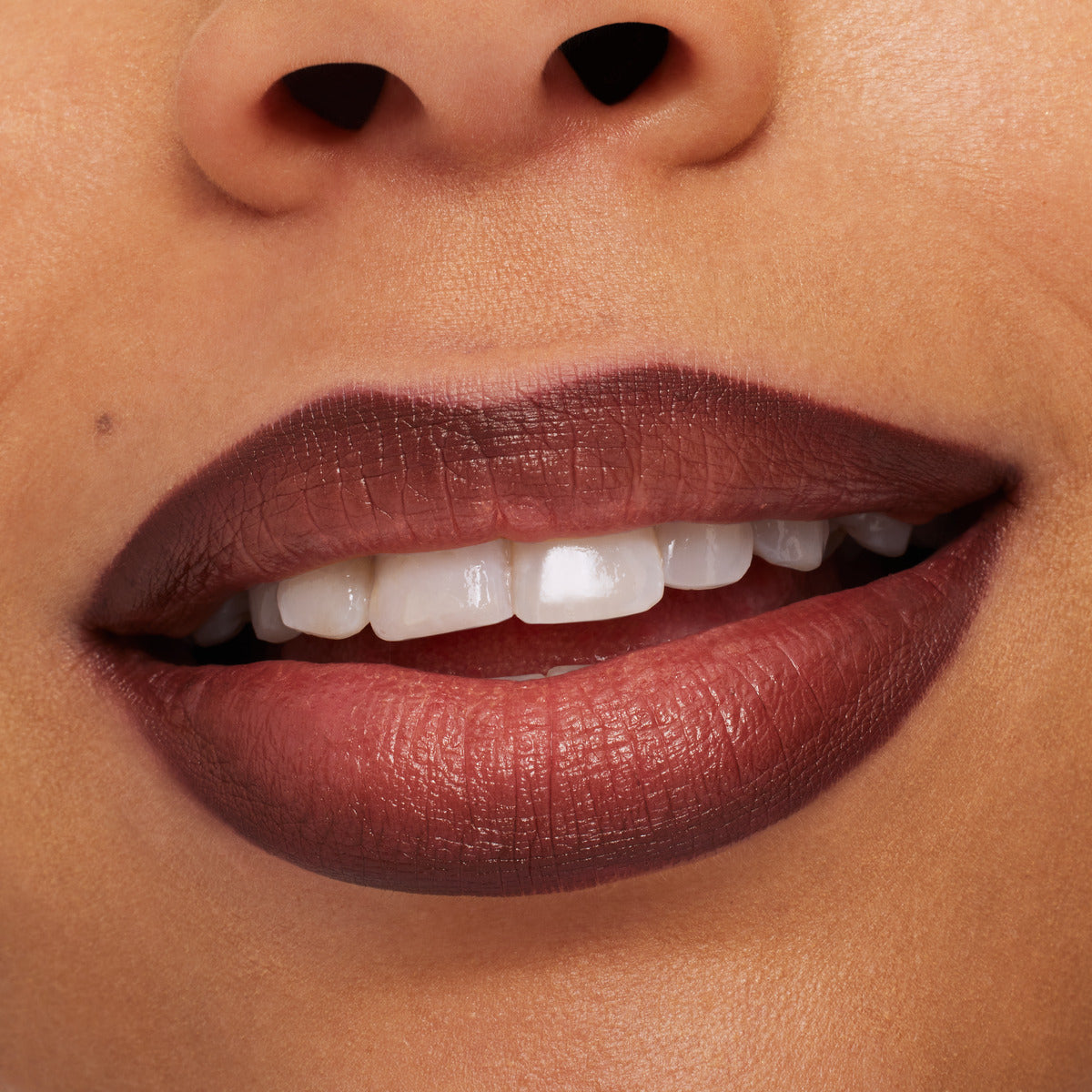 LIP PENCIL / METAMORPHOSIS COLLECTION#Chestnut